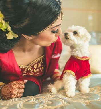 Furbabies are integral parts of the family.