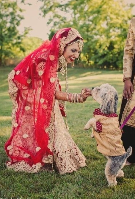 Choose a pet-friendly wedding venue.