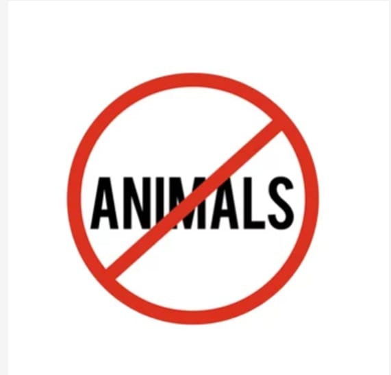 With vegan menus, you ensure zero cruelty inflicted in preparing the food.